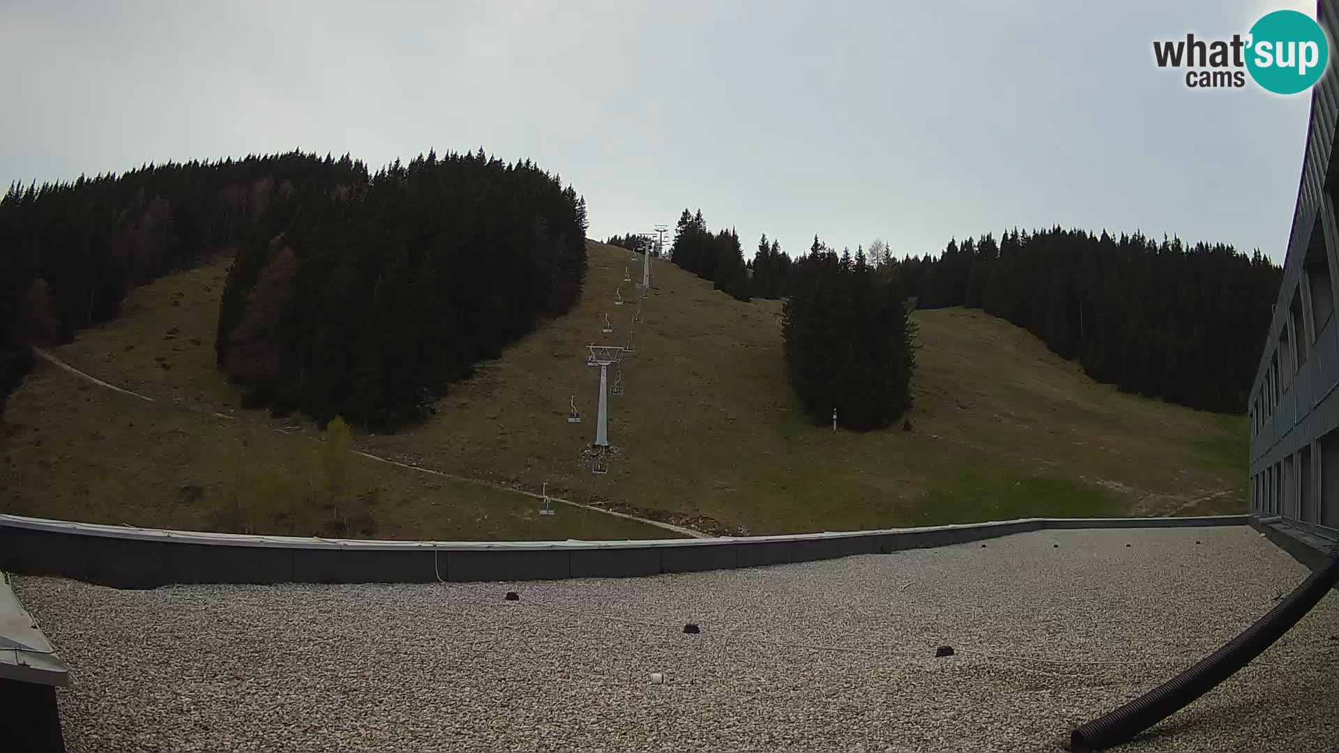 GOLTE Skigebiet webcam – Schöne Aussicht auf Medvedjak – Slowenien