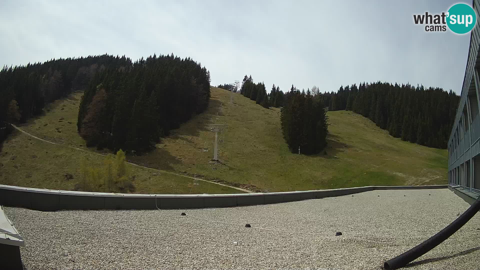 GOLTE stazione sciistica webcam – vista Medvedjak – Slovenia