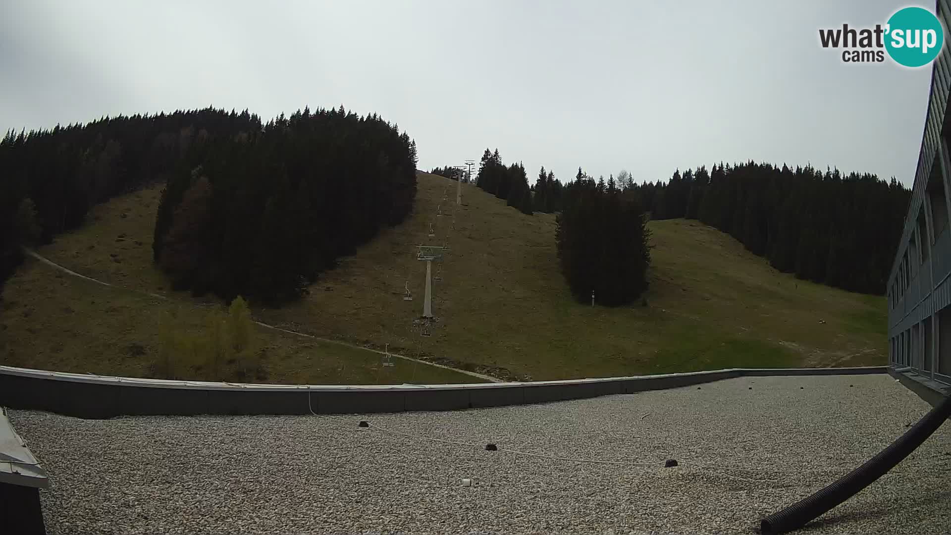 Spletna kamera smučišča GOLTE v živo – pogled na Medvedjak