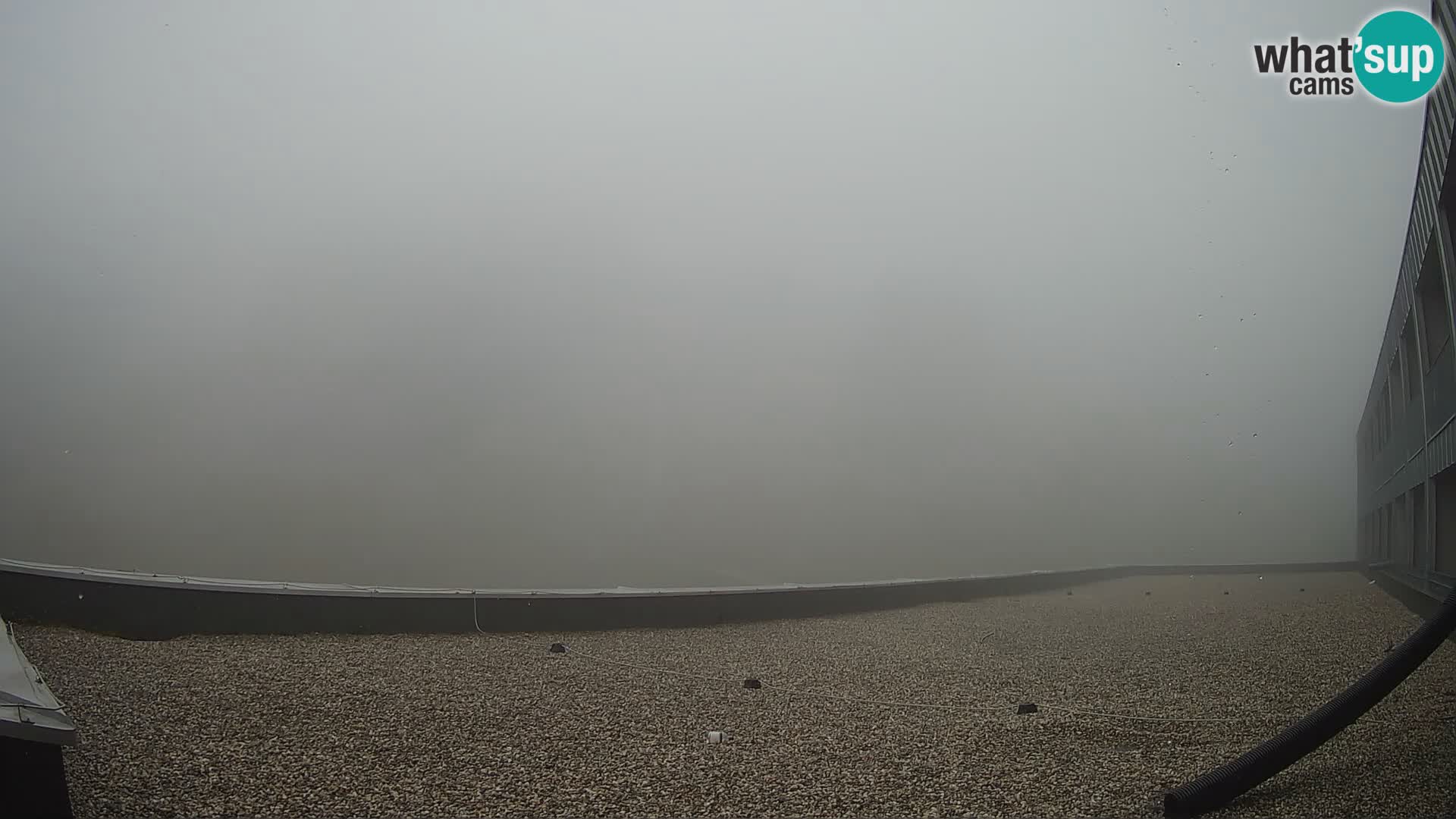 GOLTE Skigebiet webcam – Schöne Aussicht auf Medvedjak – Slowenien