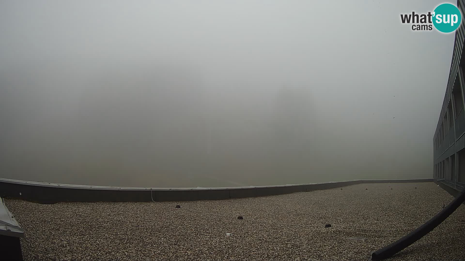 Cámara web en vivo de la estación de esquí GOLTE – vista a Medvedjak – Eslovenia