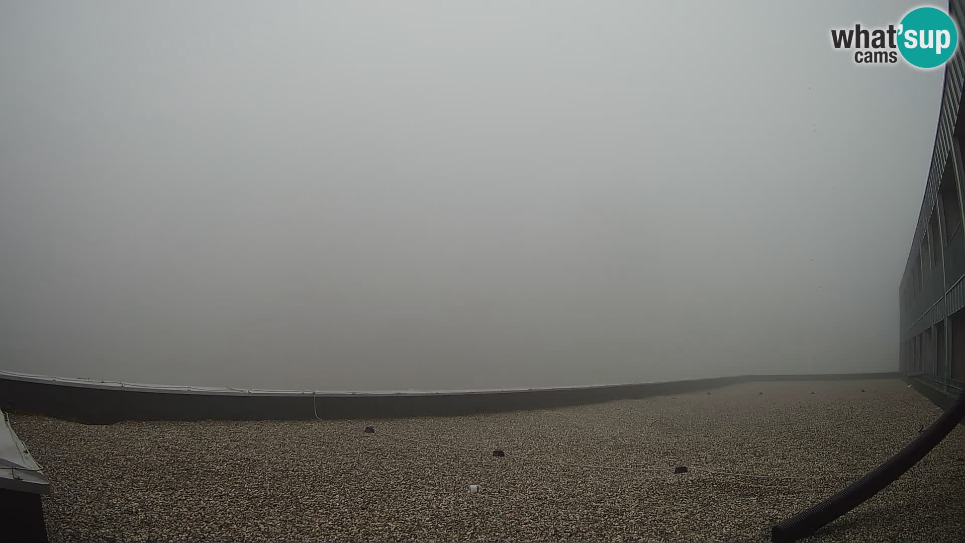GOLTE stazione sciistica webcam – vista Medvedjak – Slovenia