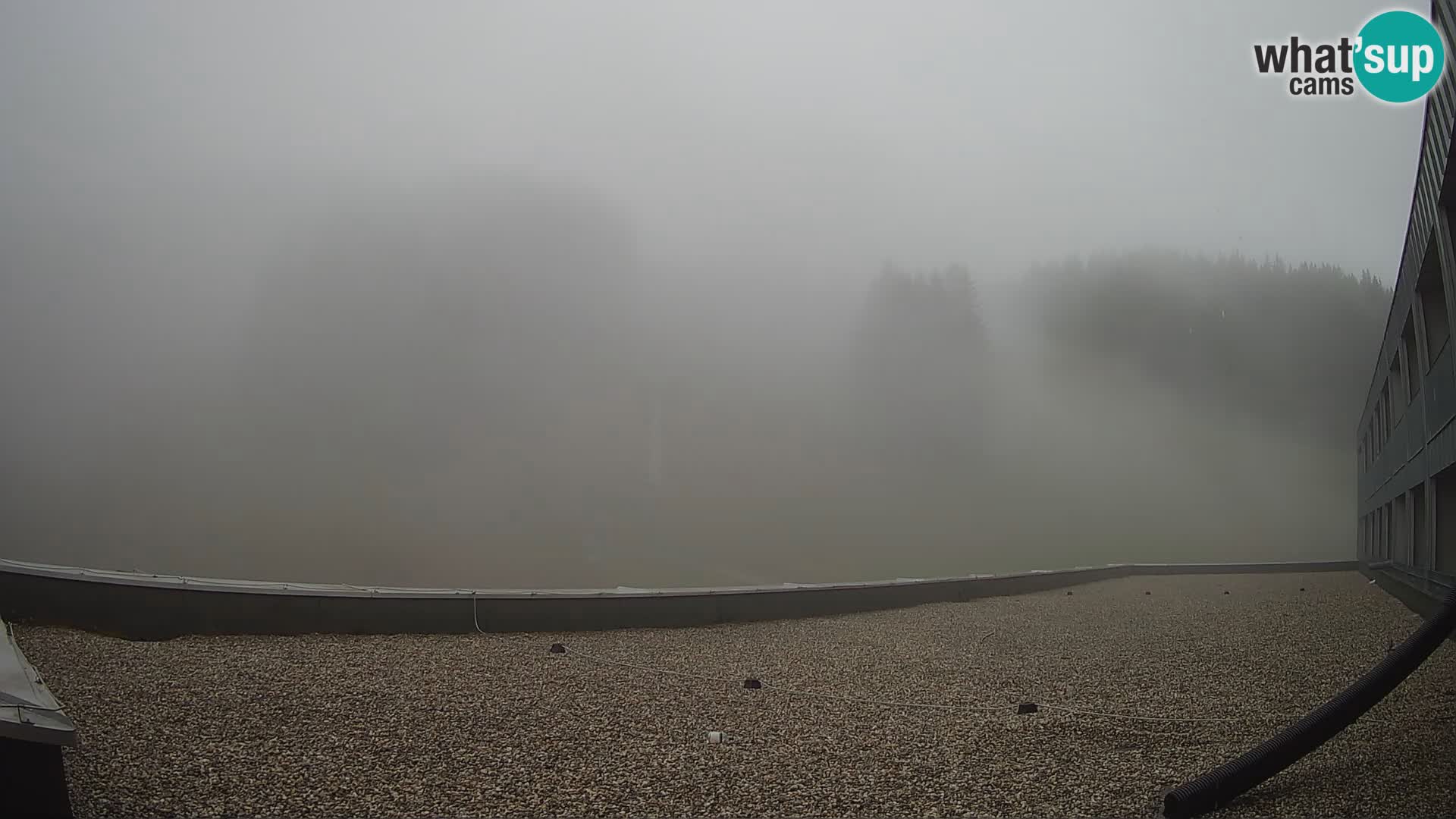 GOLTE Skigebiet webcam – Schöne Aussicht auf Medvedjak – Slowenien