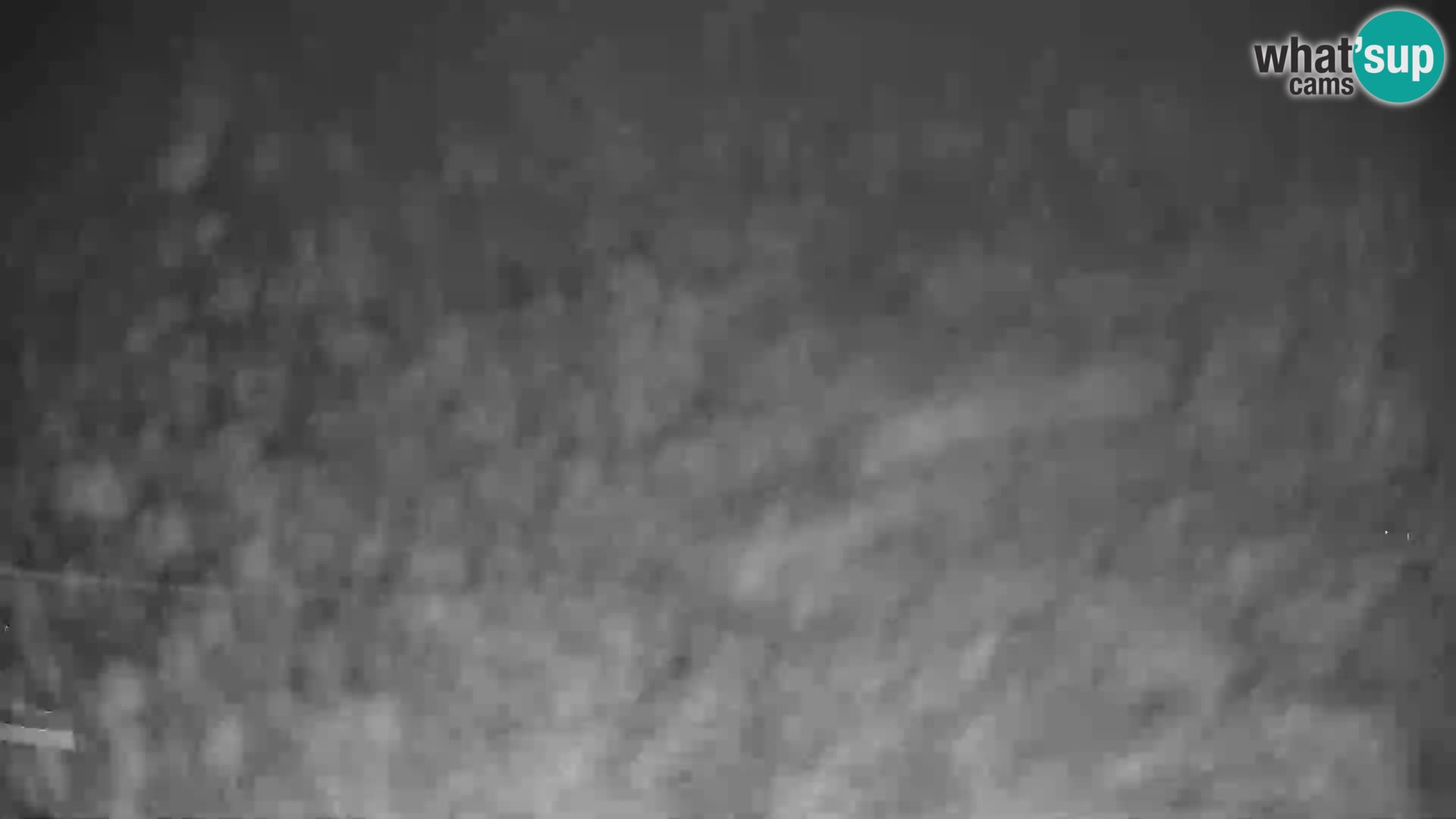 Webcam en direct de la station de ski de GOLTE – vue sur Medvedjak – Slovénie