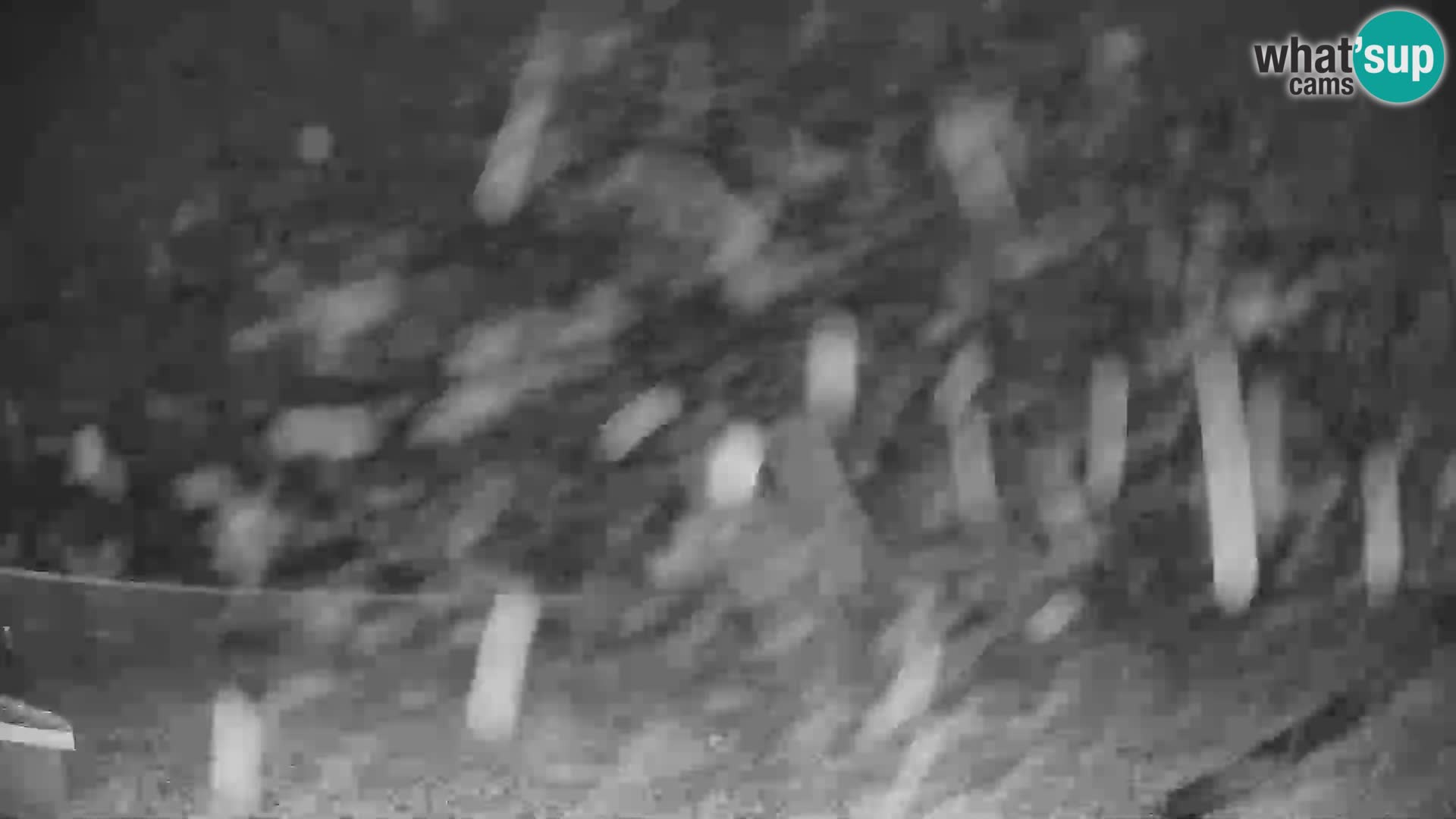 GOLTE stazione sciistica webcam – vista Medvedjak – Slovenia