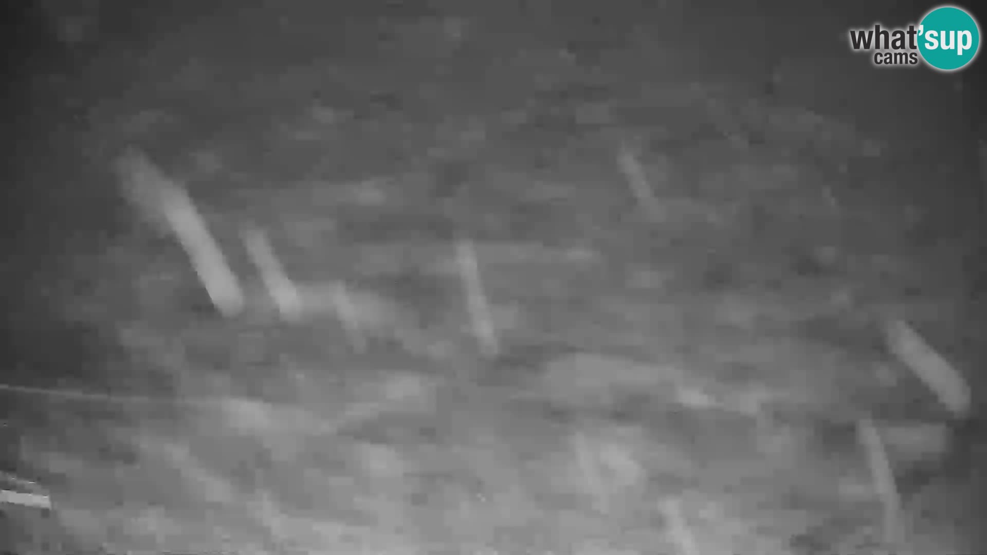 GOLTE stazione sciistica webcam – vista Medvedjak – Slovenia