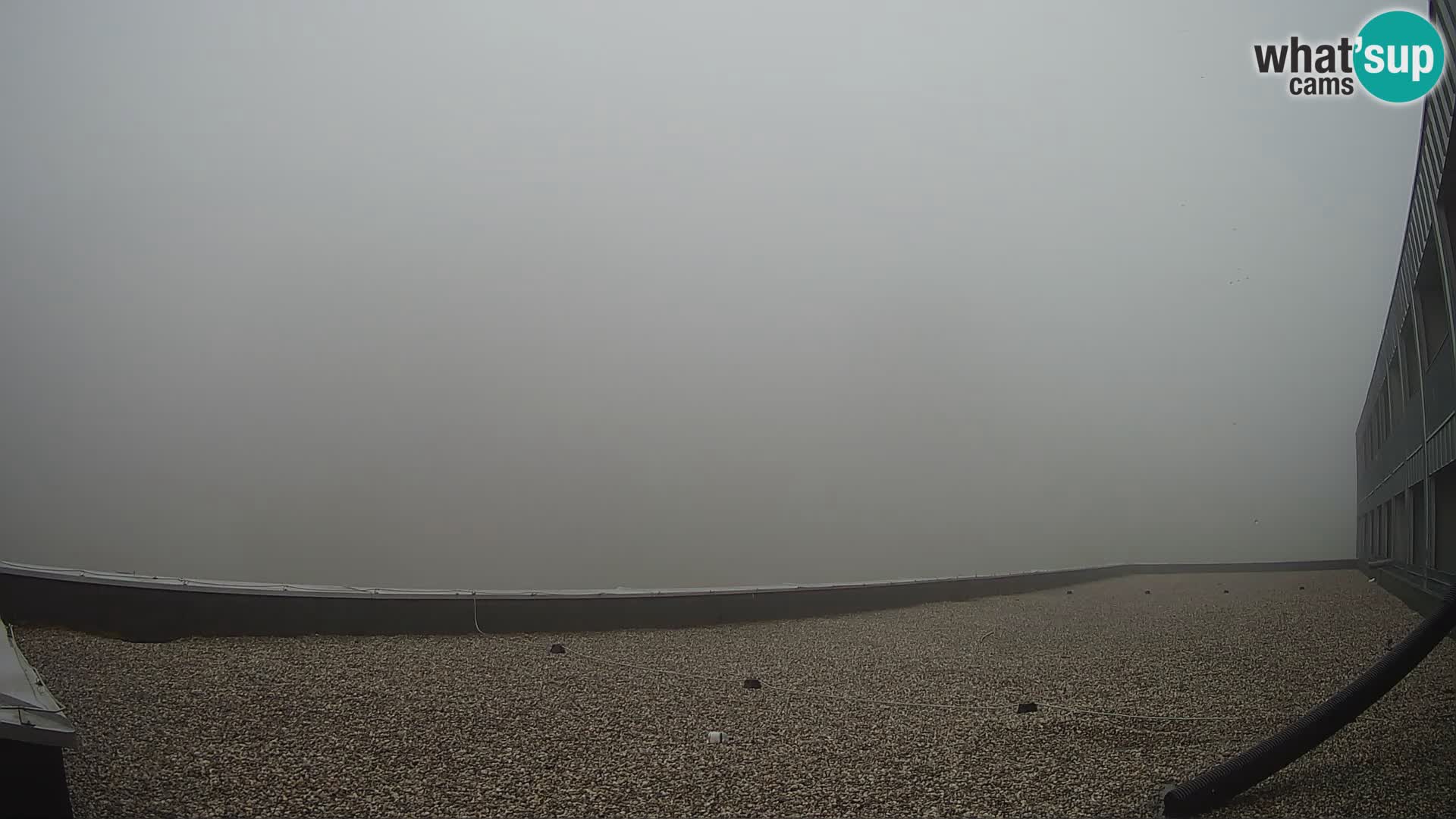 GOLTE stazione sciistica webcam – vista Medvedjak – Slovenia