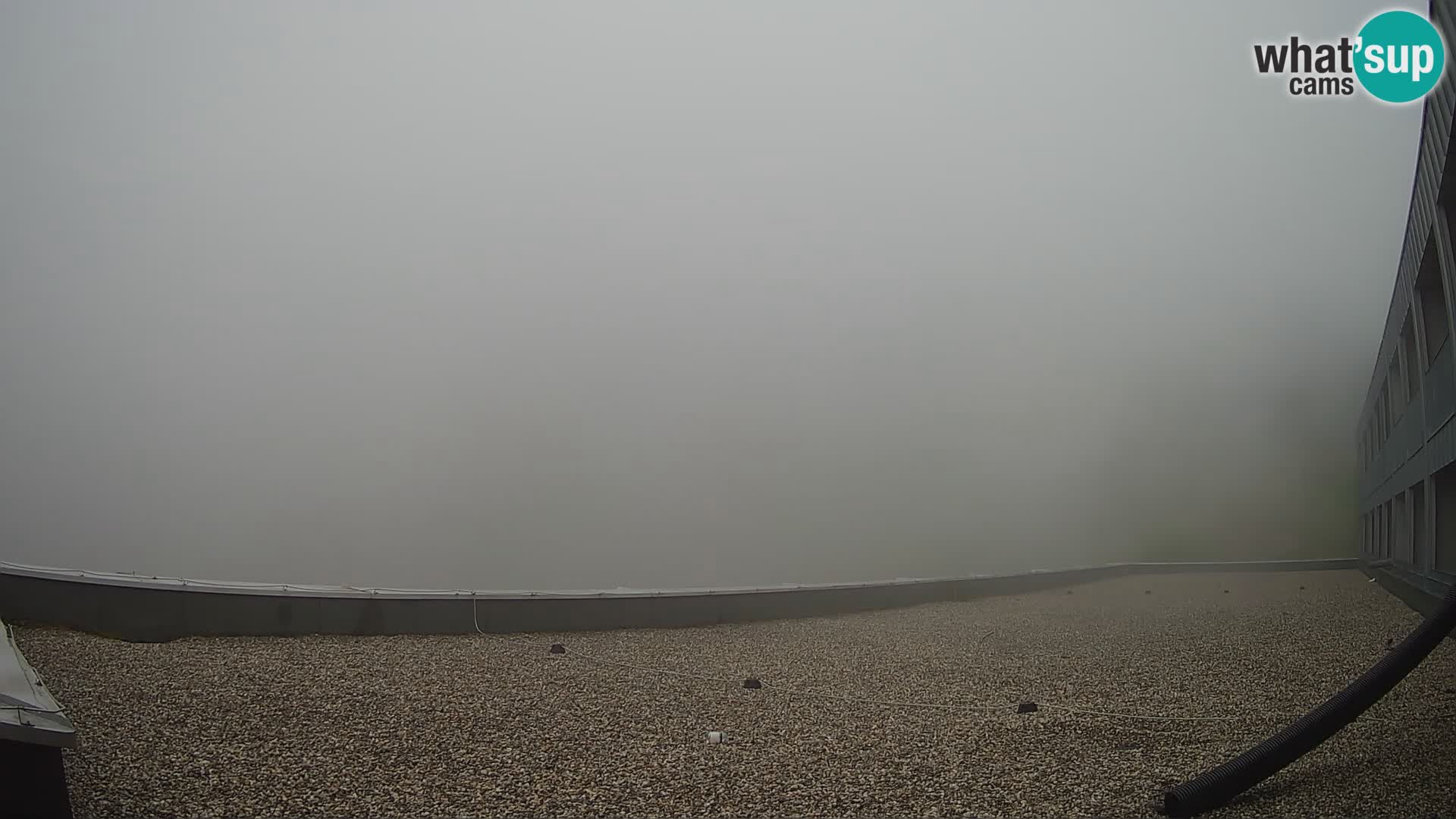 GOLTE stazione sciistica webcam – vista Medvedjak – Slovenia