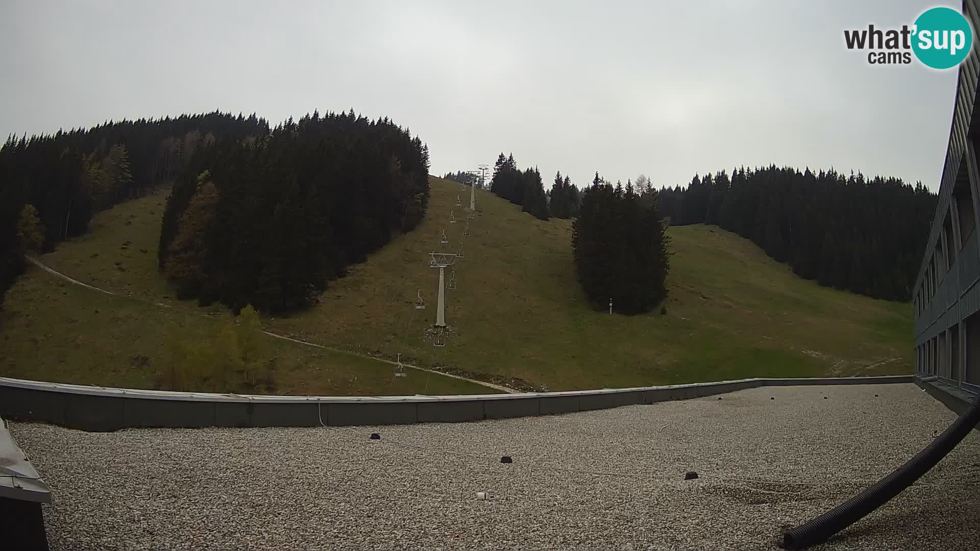 GOLTE stazione sciistica webcam – vista Medvedjak – Slovenia