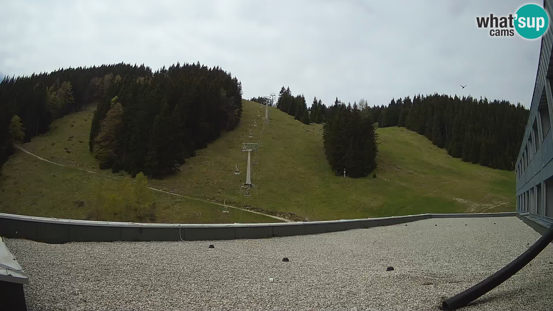 GOLTE skijalište web kamera – pogled na Medvedjak – Slovenija