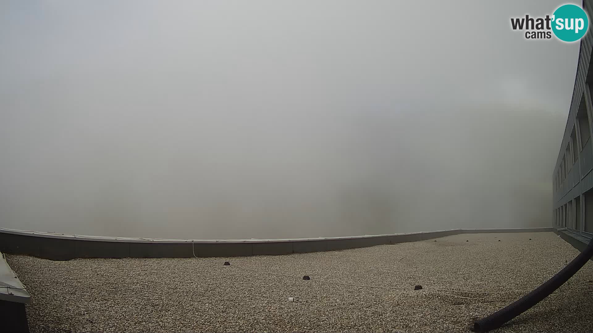 GOLTE stazione sciistica webcam – vista Medvedjak – Slovenia