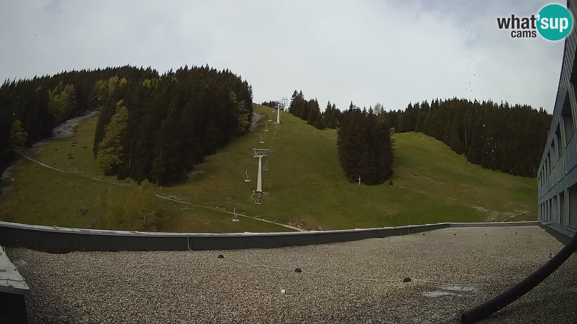 Spletna kamera smučišča GOLTE v živo – pogled na Medvedjak