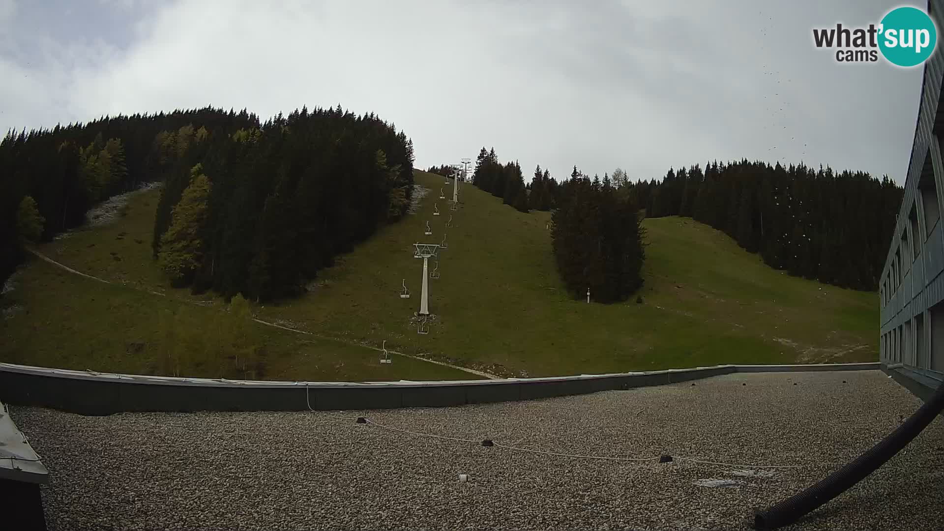 Cámara web en vivo de la estación de esquí GOLTE – vista a Medvedjak – Eslovenia