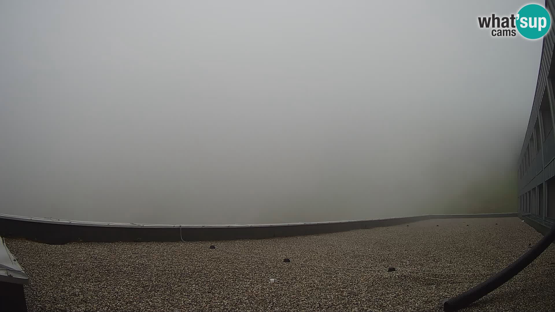 GOLTE stazione sciistica webcam – vista Medvedjak – Slovenia