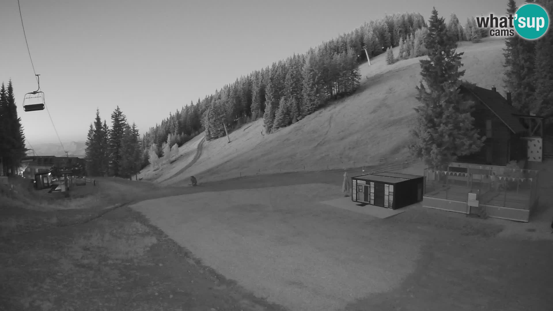 GOLTE stazione sciistica webcam – vista Medvedjak – Slovenia