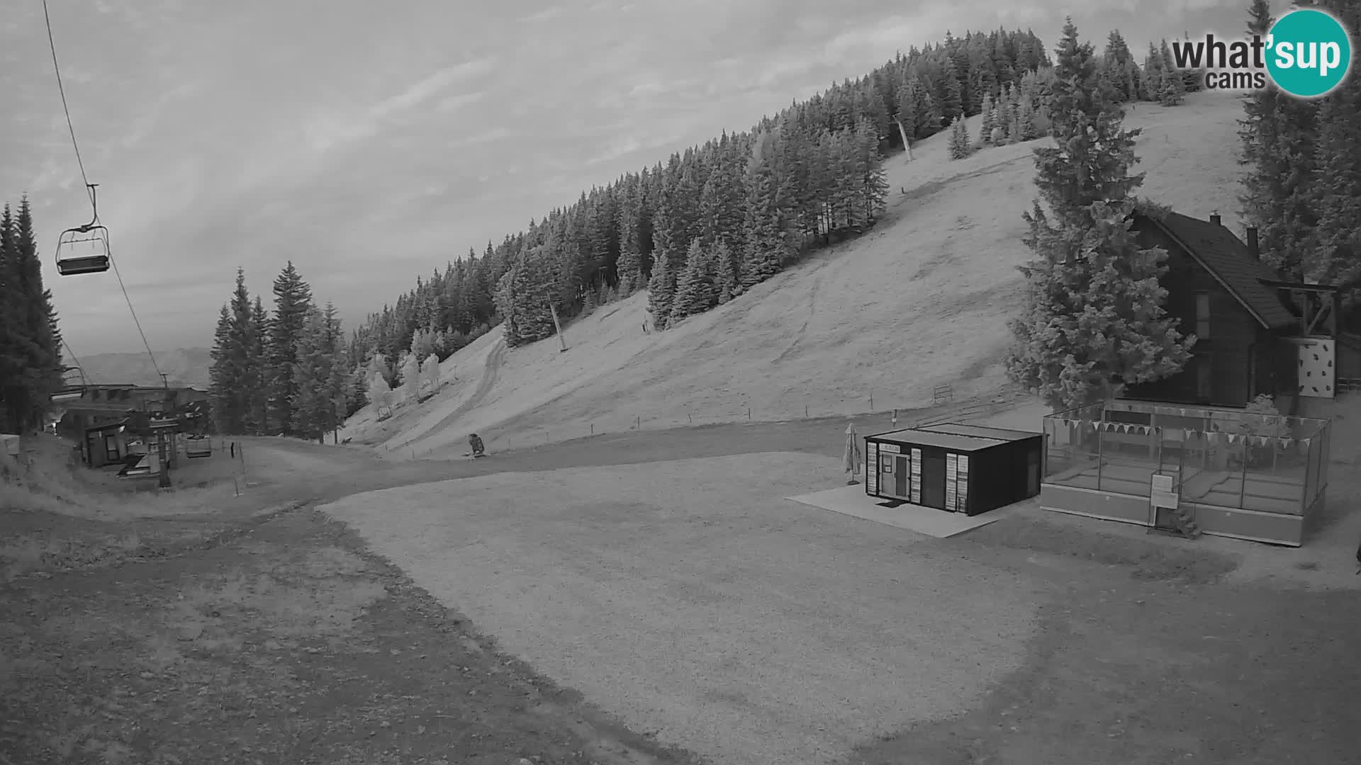 GOLTE Skigebiet webcam – Schöne Aussicht auf Medvedjak – Slowenien