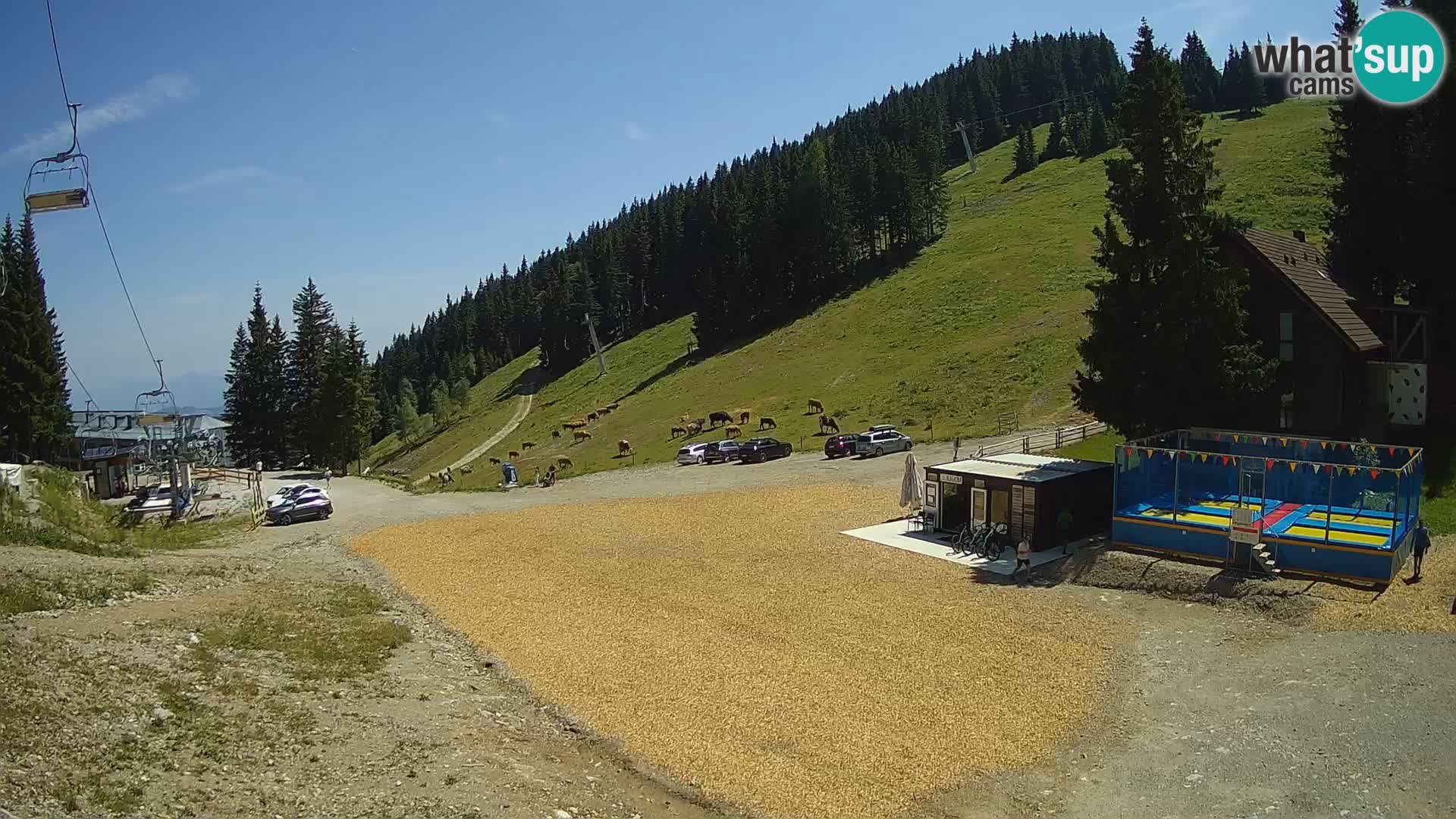 Cámara web en vivo de la estación de esquí GOLTE – vista a Medvedjak – Eslovenia