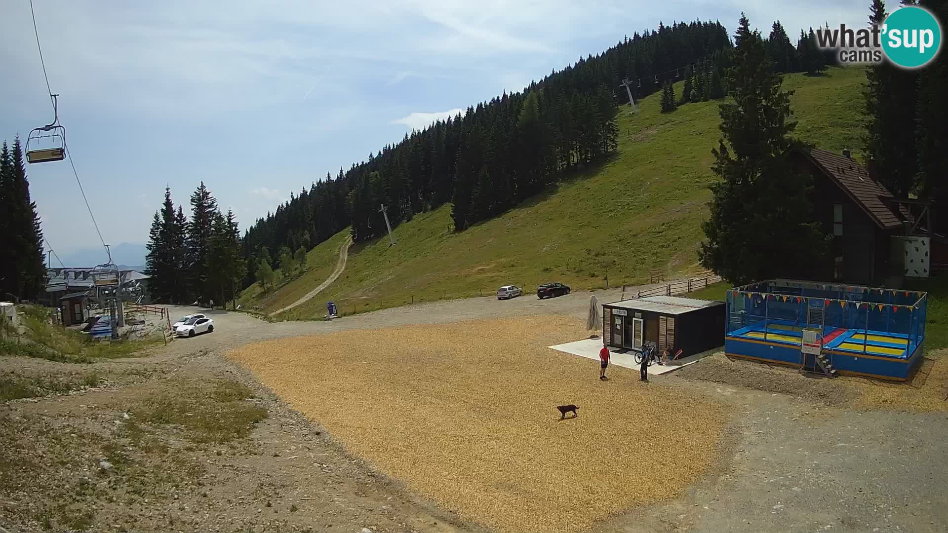 GOLTE stazione sciistica webcam – vista Medvedjak – Slovenia