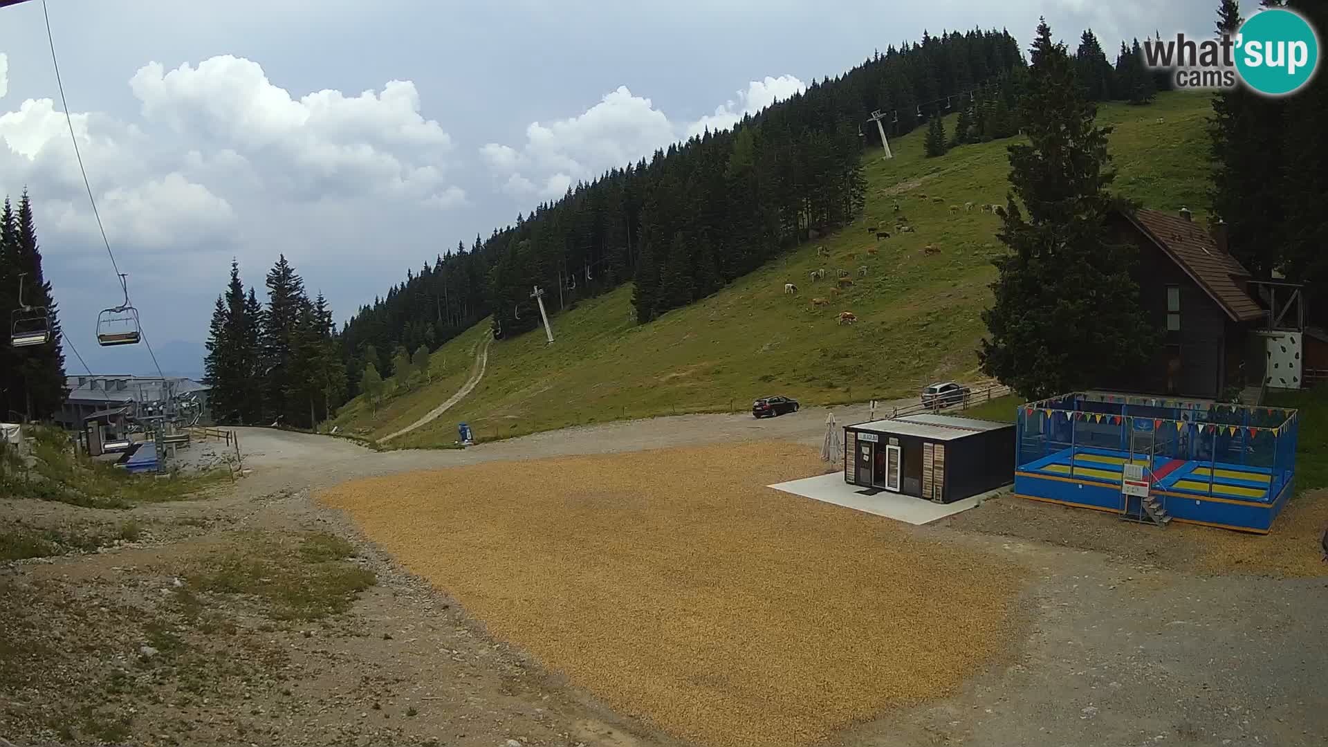 GOLTE Skigebiet webcam – Schöne Aussicht auf Medvedjak – Slowenien