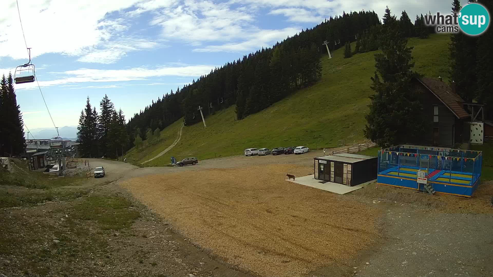 GOLTE skijalište web kamera – pogled na Medvedjak – Slovenija
