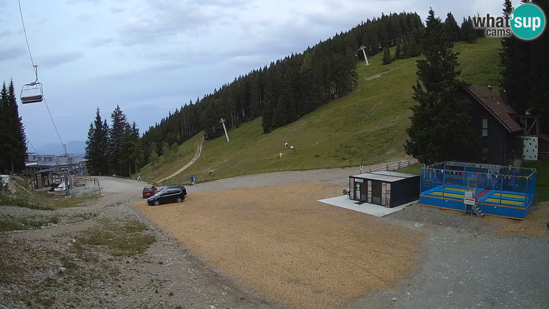 Spletna kamera smučišča GOLTE v živo – pogled na Medvedjak