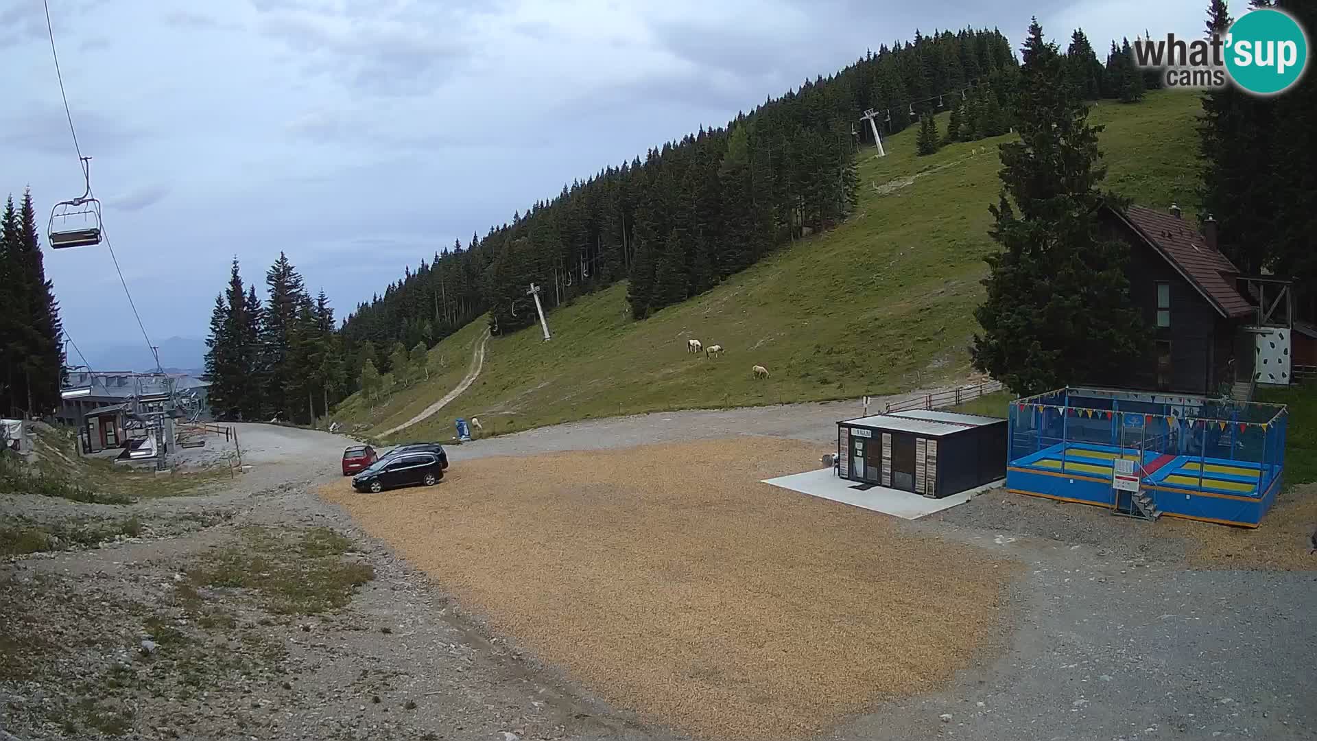 Cámara web en vivo de la estación de esquí GOLTE – vista a Medvedjak – Eslovenia