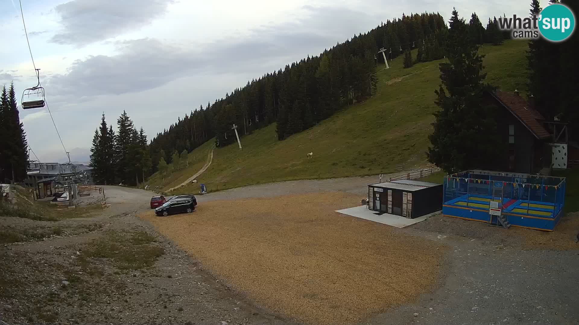 GOLTE Skigebiet webcam – Schöne Aussicht auf Medvedjak – Slowenien
