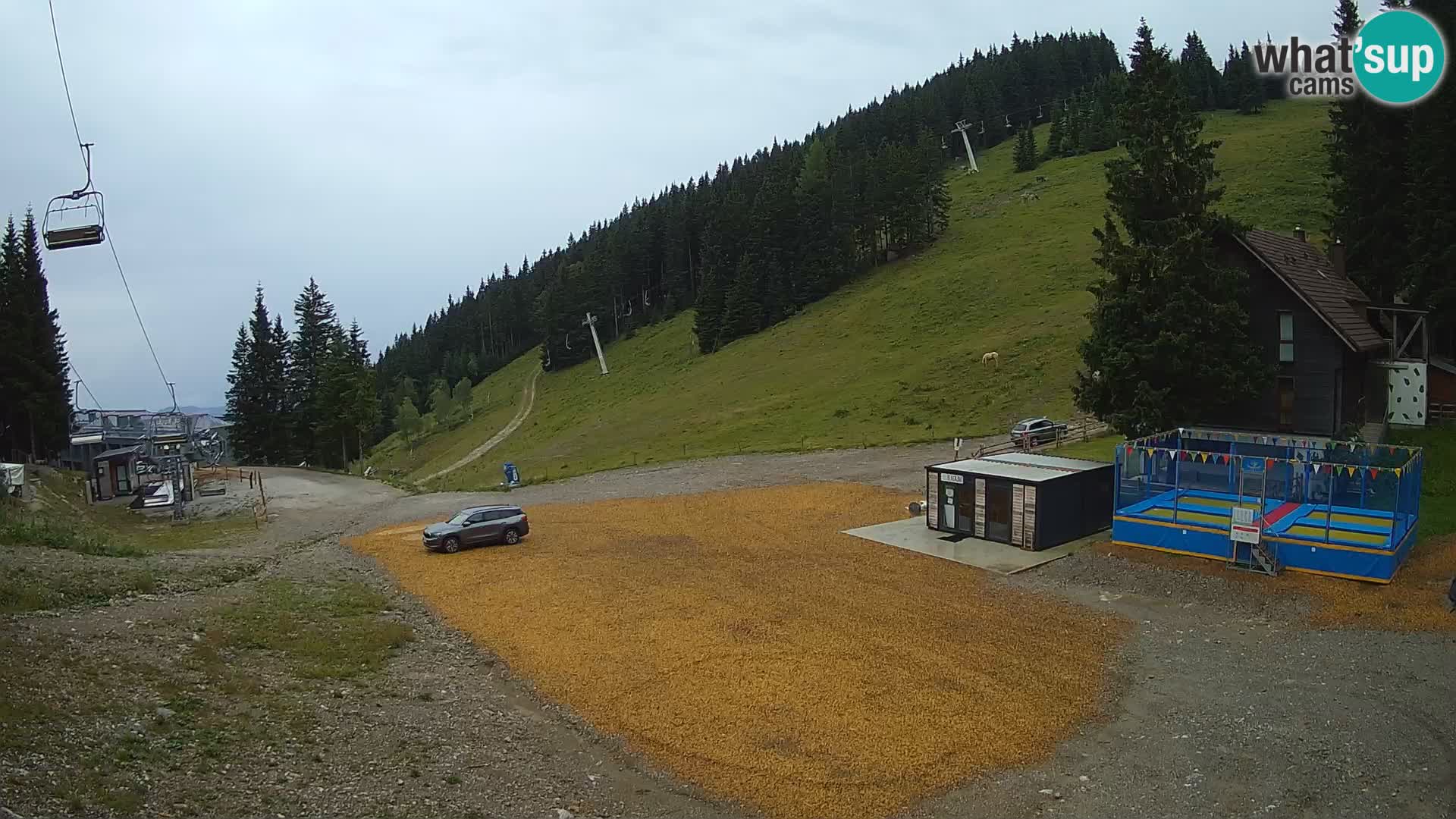 Spletna kamera smučišča GOLTE v živo – pogled na Medvedjak
