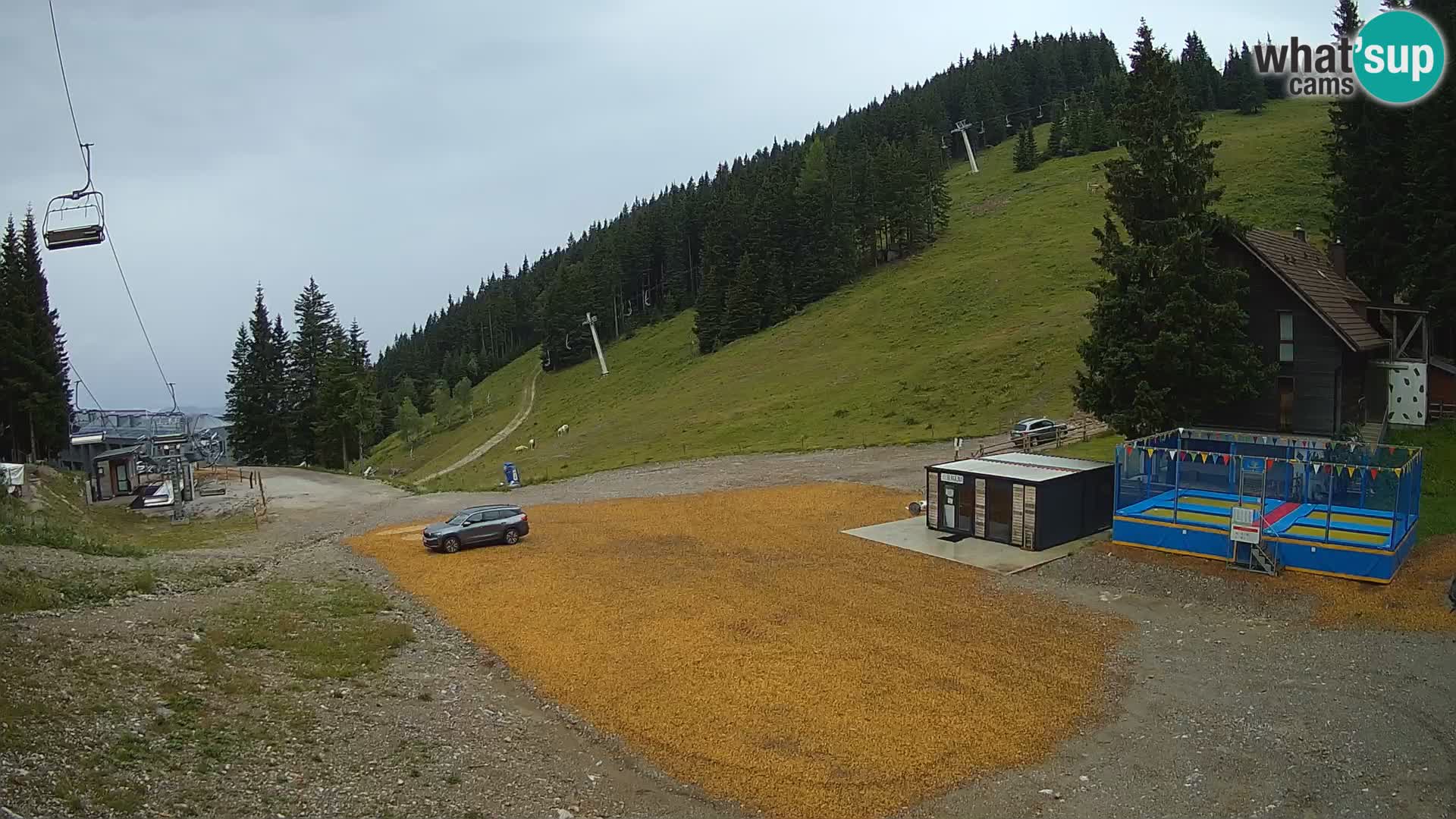 GOLTE stazione sciistica webcam – vista Medvedjak – Slovenia