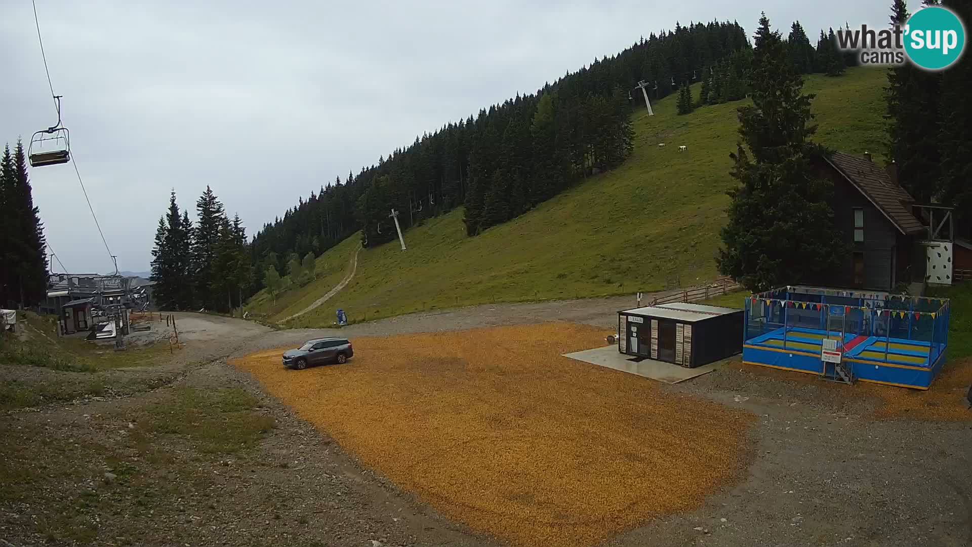 GOLTE stazione sciistica webcam – vista Medvedjak – Slovenia