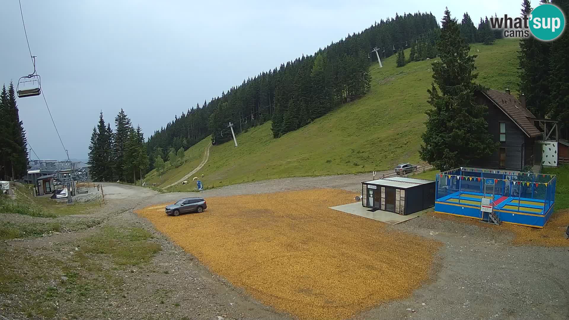 GOLTE stazione sciistica webcam – vista Medvedjak – Slovenia