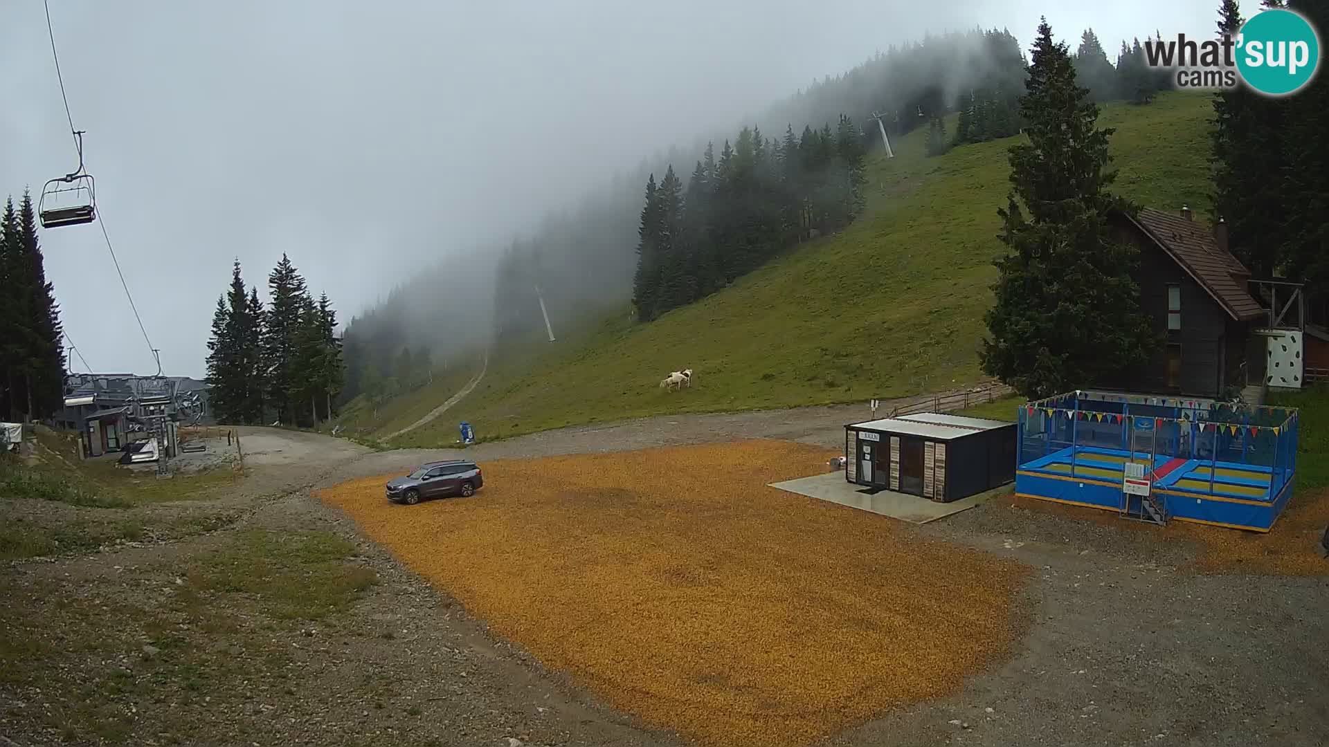 GOLTE Skigebiet webcam – Schöne Aussicht auf Medvedjak – Slowenien