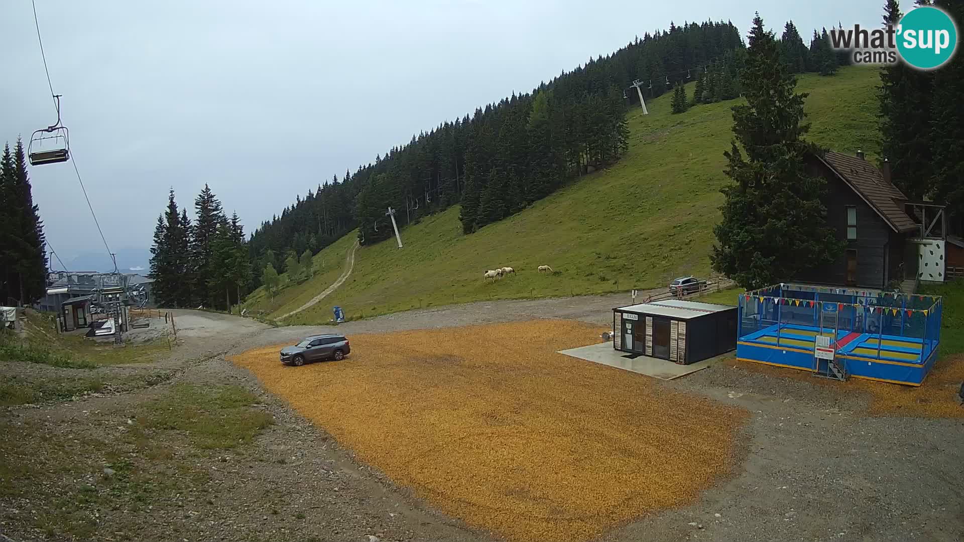 Webcam en direct de la station de ski de GOLTE – vue sur Medvedjak – Slovénie