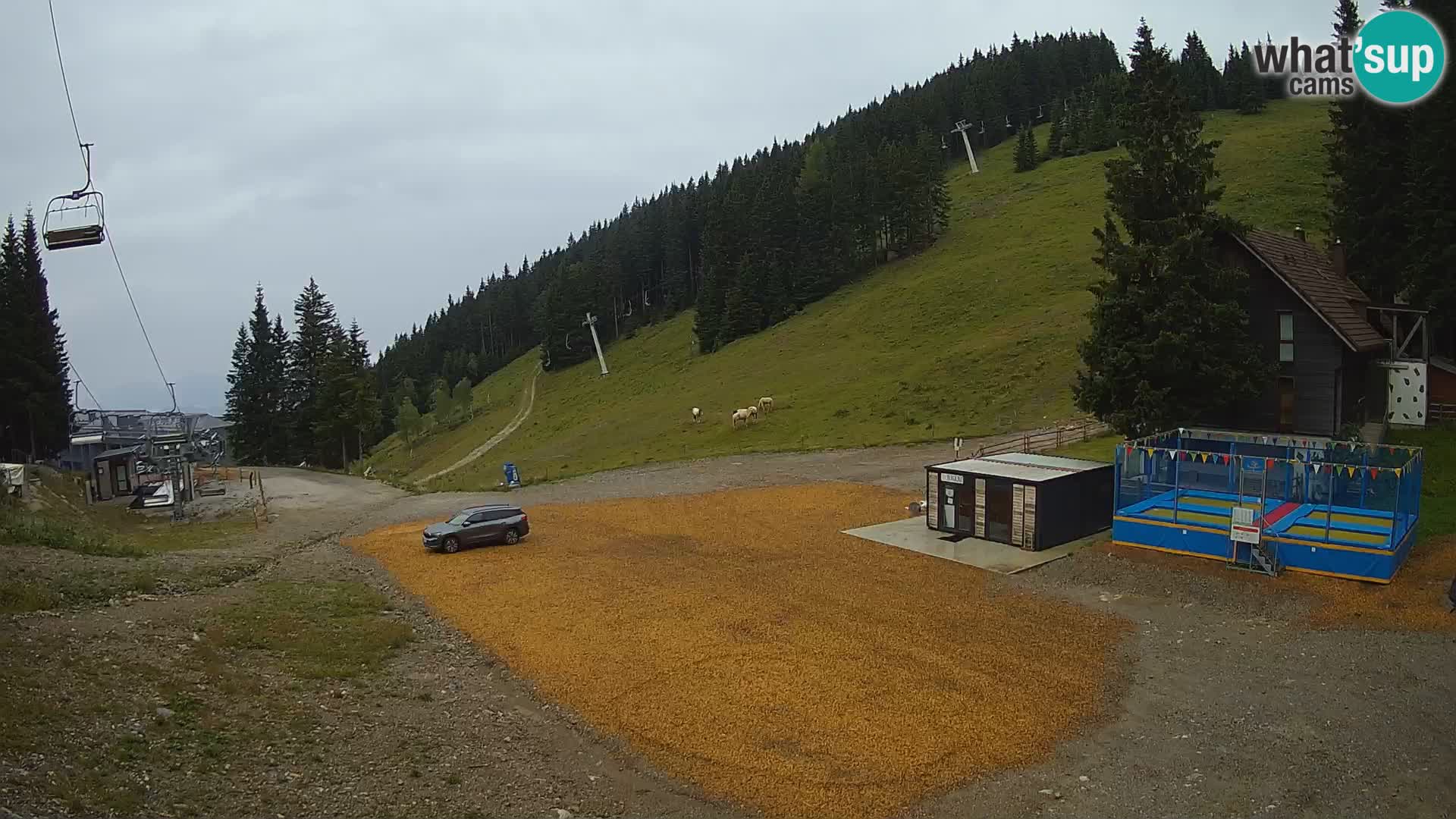 GOLTE skijalište web kamera – pogled na Medvedjak – Slovenija