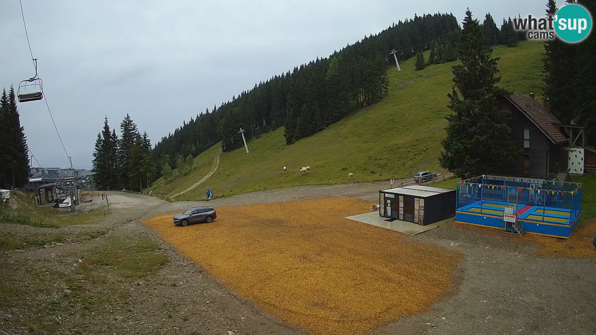 GOLTE Skigebiet webcam – Schöne Aussicht auf Medvedjak – Slowenien