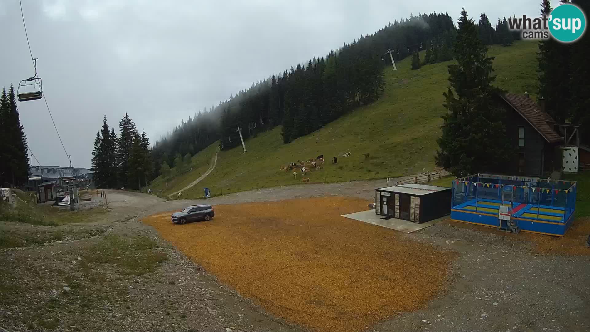 Spletna kamera smučišča GOLTE v živo – pogled na Medvedjak