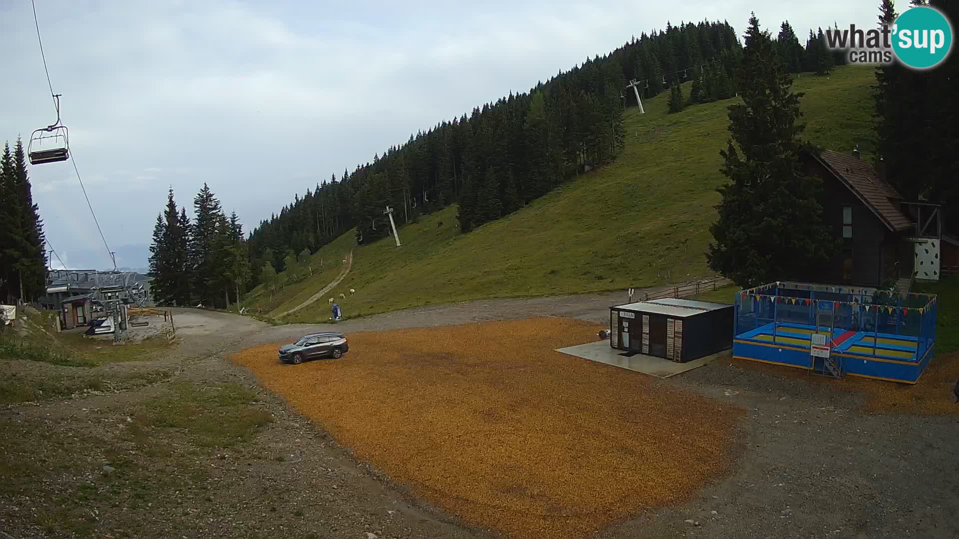 Spletna kamera smučišča GOLTE v živo – pogled na Medvedjak