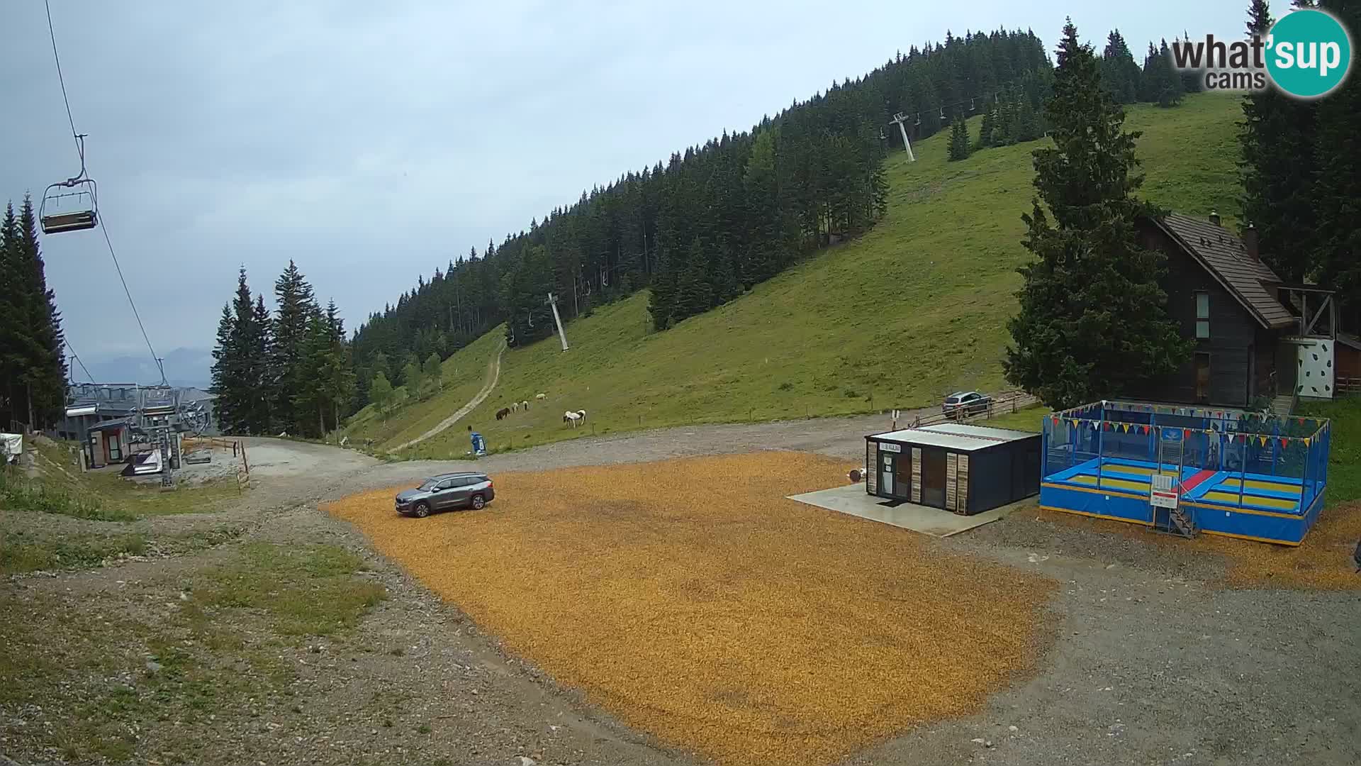 Spletna kamera smučišča GOLTE v živo – pogled na Medvedjak