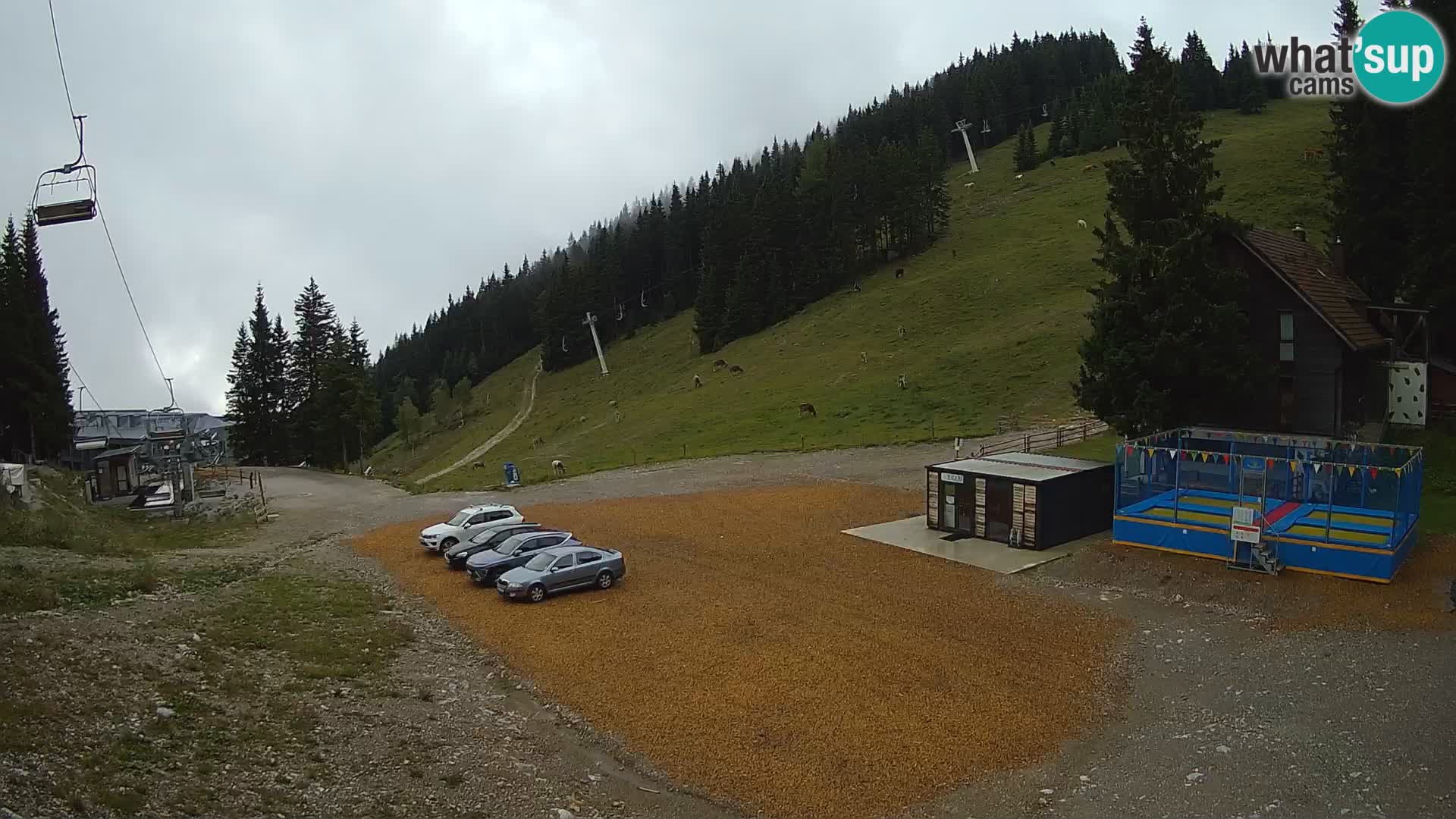 GOLTE Skigebiet webcam – Schöne Aussicht auf Medvedjak – Slowenien