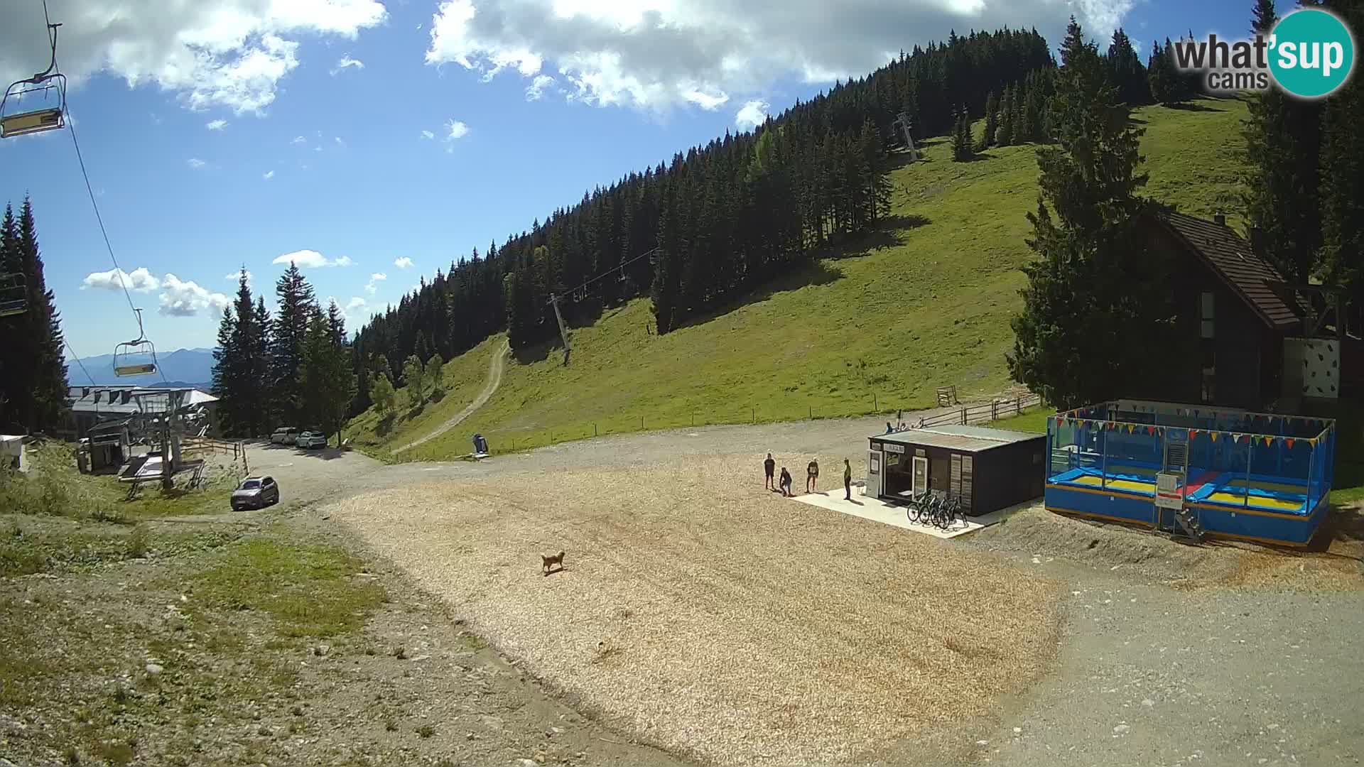 GOLTE Skigebiet webcam – Schöne Aussicht auf Medvedjak – Slowenien
