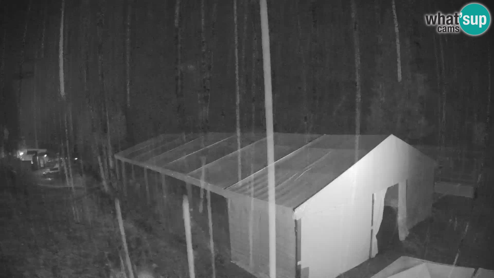 GOLTE Skigebiet webcam – Schöne Aussicht auf Medvedjak – Slowenien