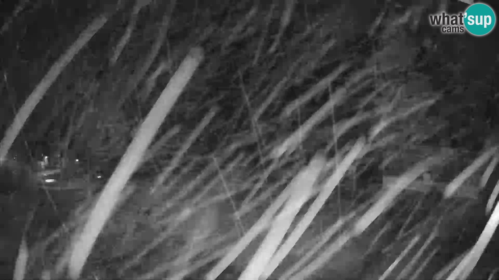 GOLTE stazione sciistica webcam – vista Medvedjak – Slovenia