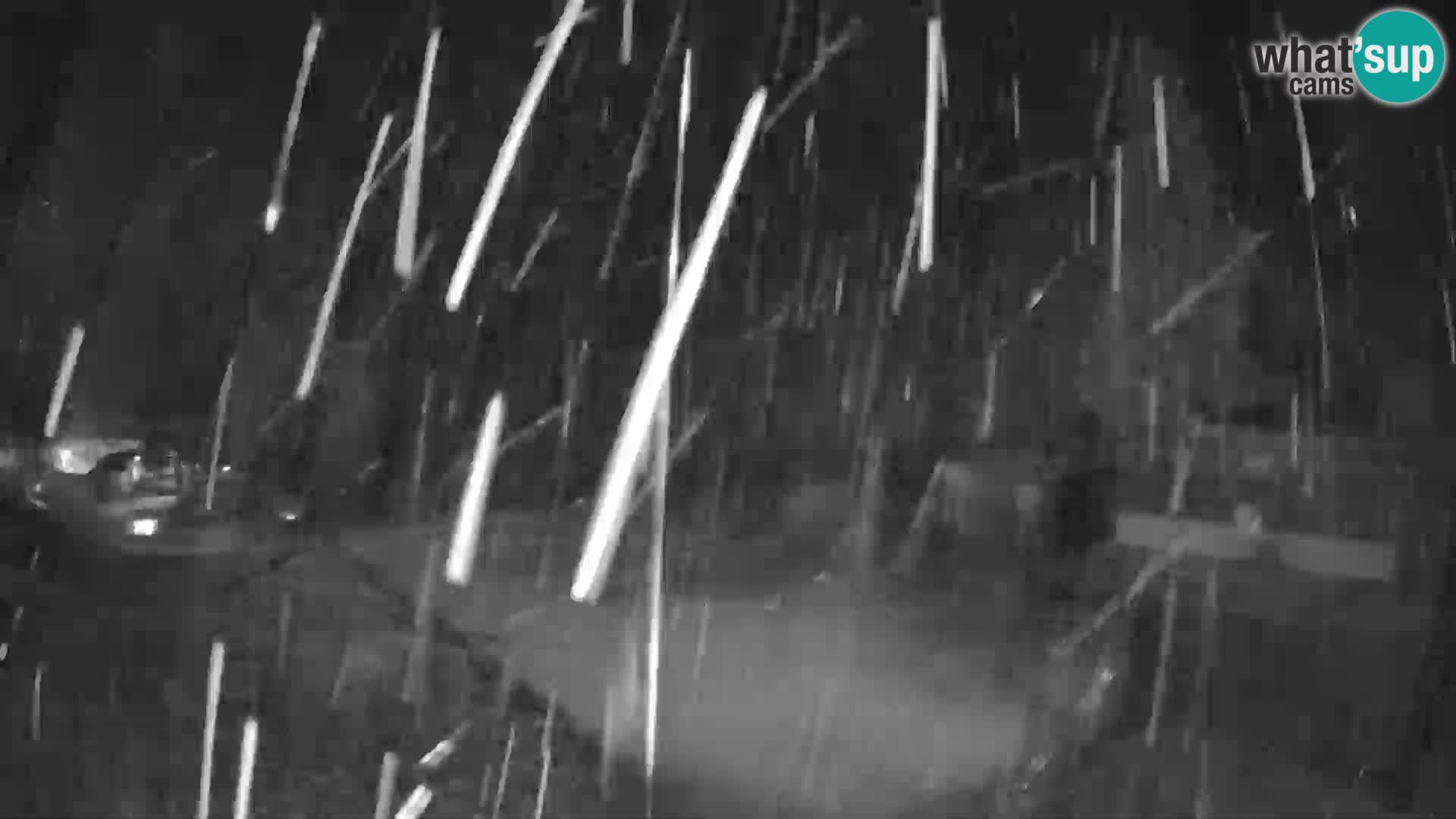 GOLTE stazione sciistica webcam – vista Medvedjak – Slovenia