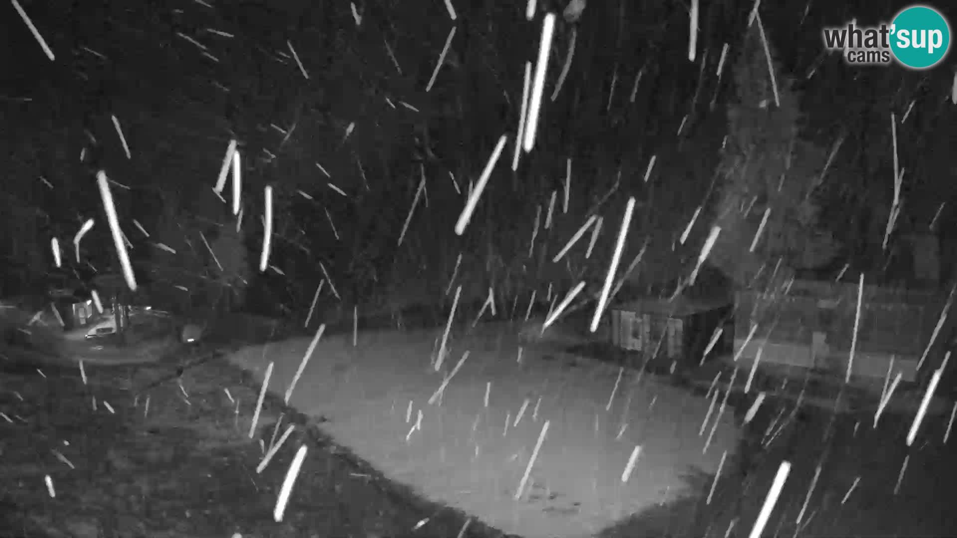 GOLTE Ski resort live webcam – view to Medvedjak – Slovenia