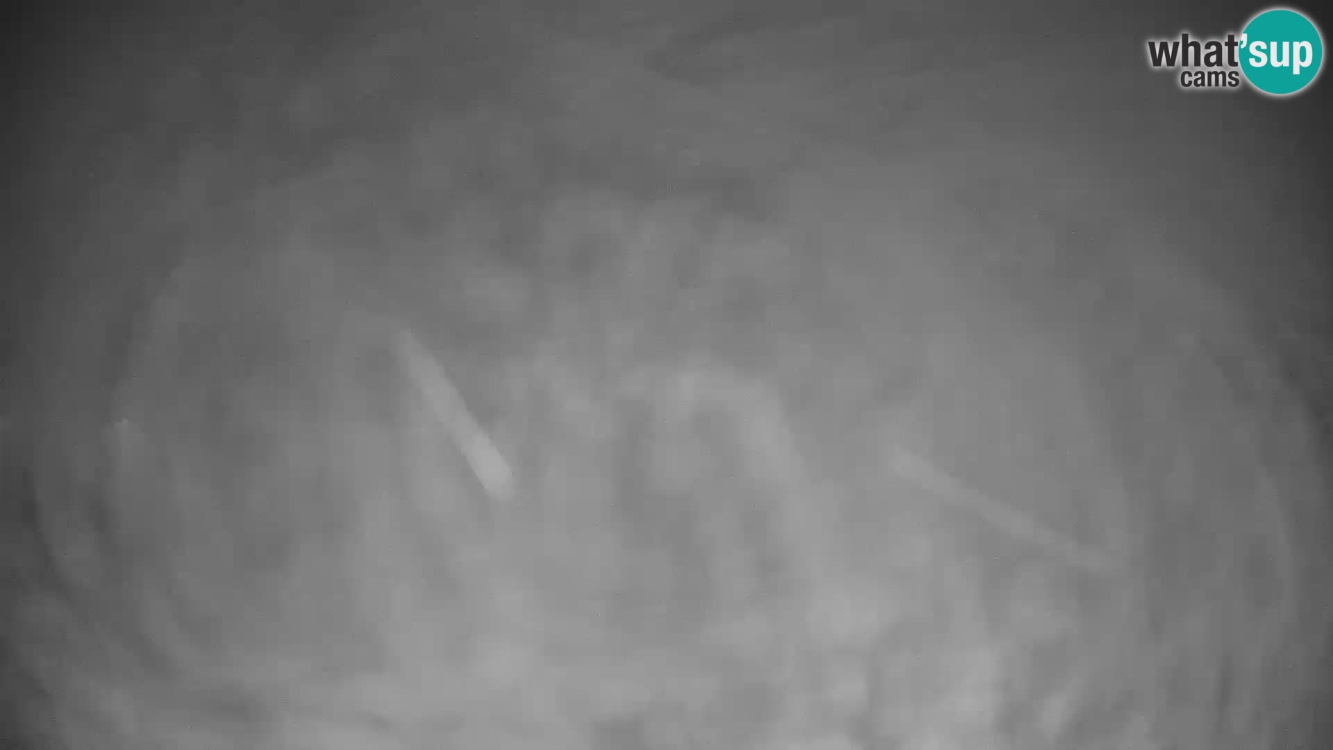 Spletna kamera smučišča GOLTE v živo – pogled na Medvedjak