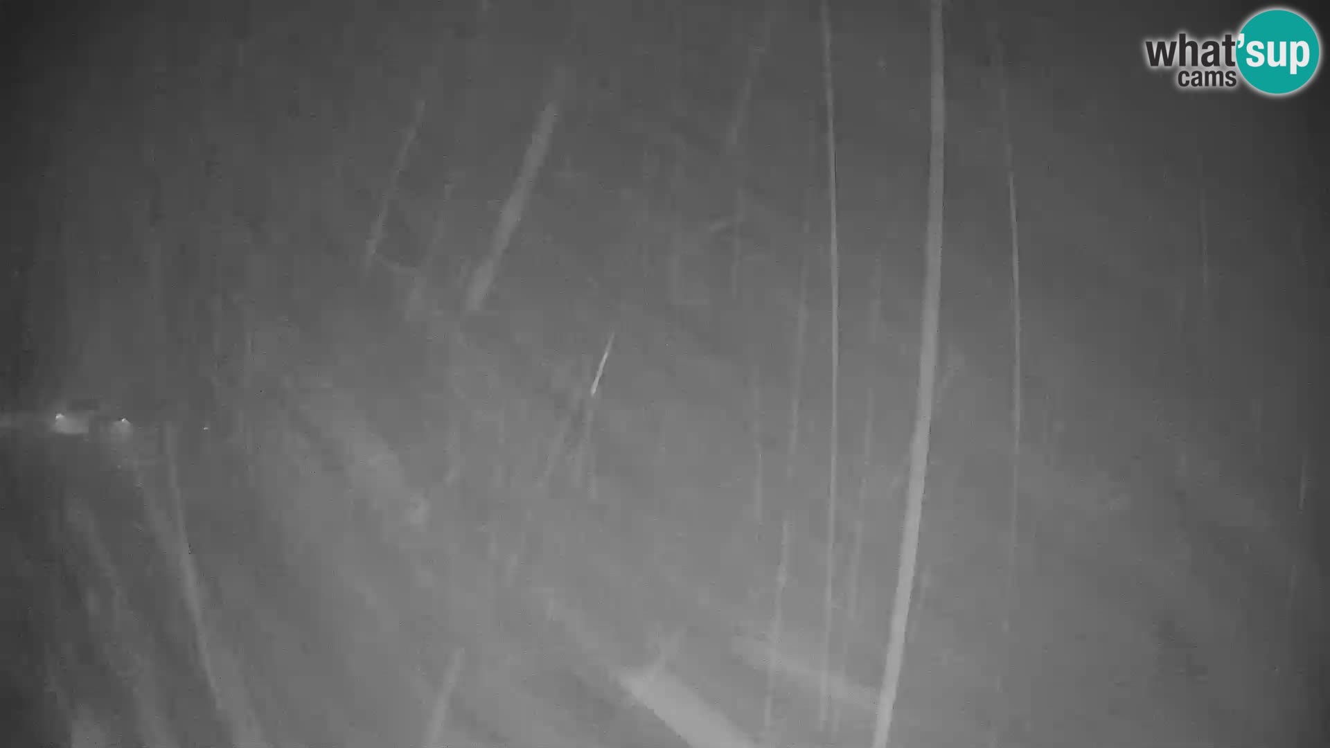 Spletna kamera smučišča GOLTE v živo – pogled na Medvedjak