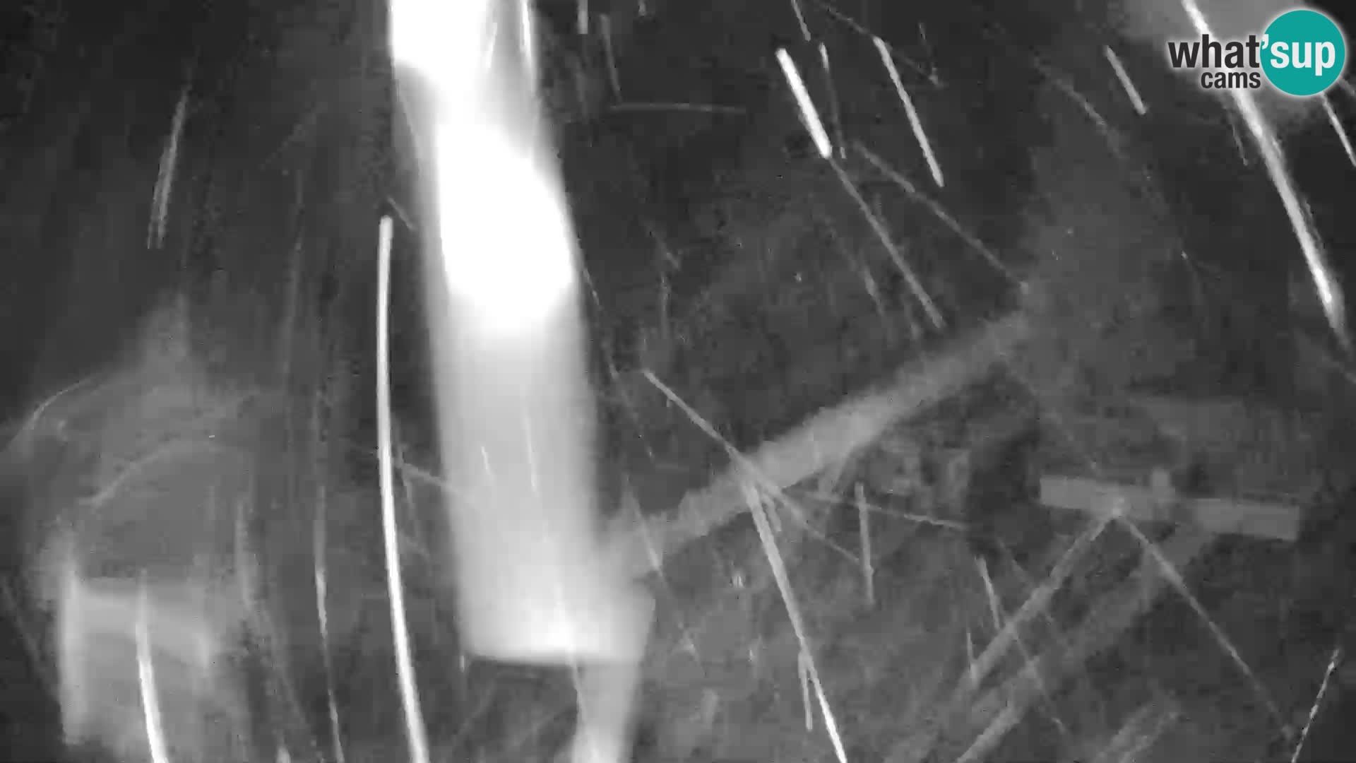 Cámara web en vivo de la estación de esquí GOLTE – vista a Medvedjak – Eslovenia