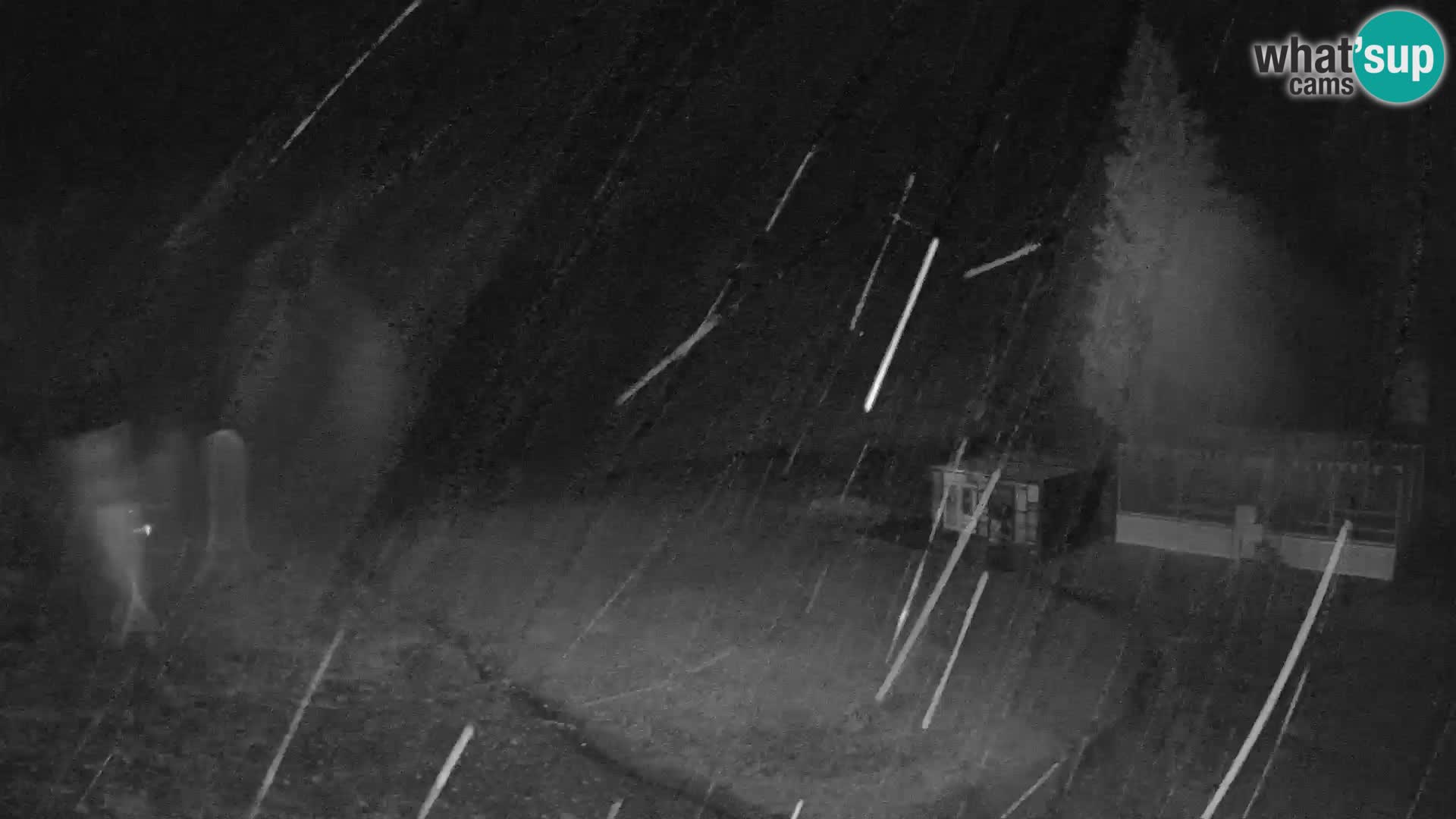 GOLTE Skigebiet webcam – Schöne Aussicht auf Medvedjak – Slowenien