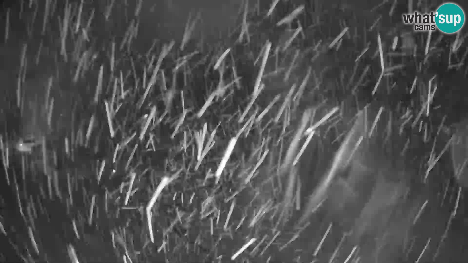 Cámara web en vivo de la estación de esquí GOLTE – vista a Medvedjak – Eslovenia