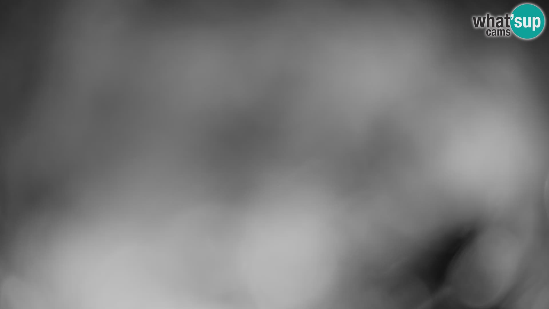 GOLTE skijalište web kamera – pogled na Medvedjak – Slovenija